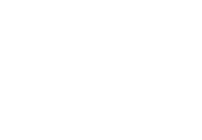 sae-logo-white