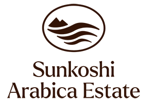 Sunkoshi Arabica Estate